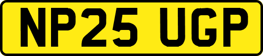 NP25UGP