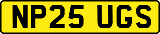 NP25UGS