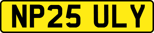 NP25ULY