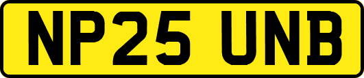 NP25UNB