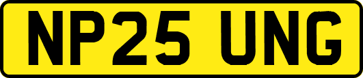 NP25UNG