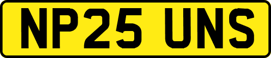 NP25UNS