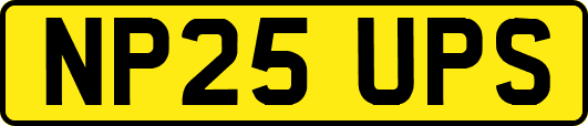 NP25UPS