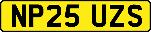 NP25UZS