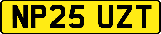 NP25UZT