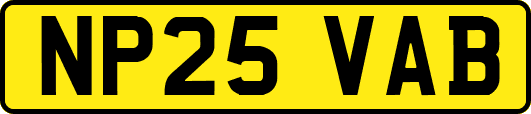 NP25VAB