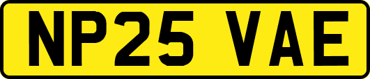 NP25VAE