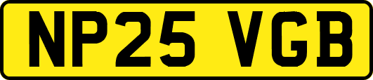 NP25VGB
