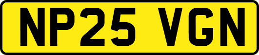 NP25VGN
