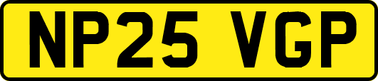 NP25VGP
