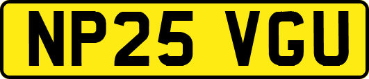 NP25VGU