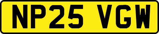 NP25VGW