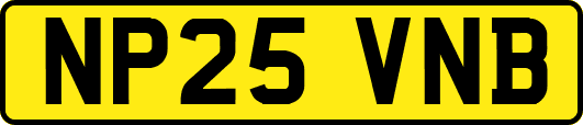 NP25VNB
