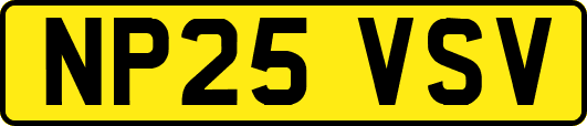 NP25VSV