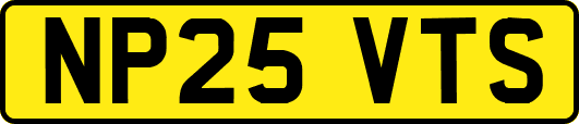 NP25VTS