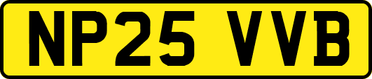 NP25VVB