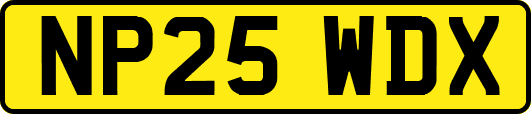 NP25WDX