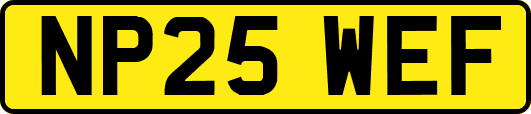 NP25WEF