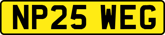 NP25WEG