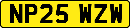NP25WZW