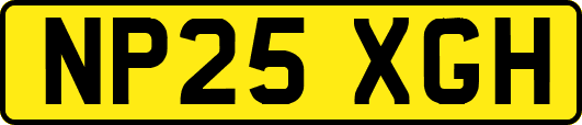 NP25XGH