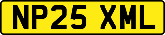 NP25XML