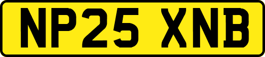 NP25XNB