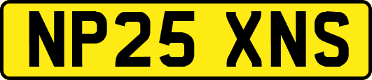 NP25XNS