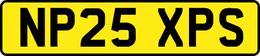 NP25XPS