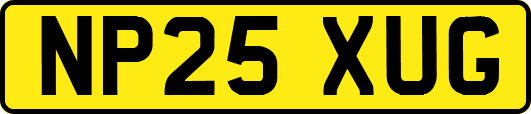 NP25XUG