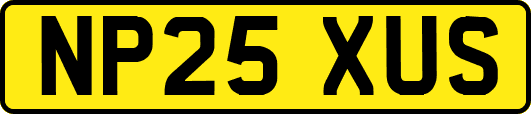 NP25XUS