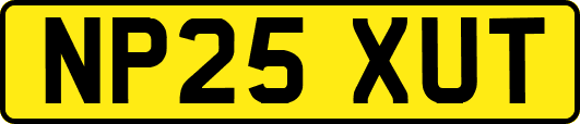 NP25XUT