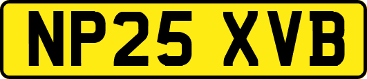 NP25XVB