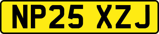 NP25XZJ