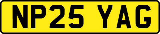 NP25YAG