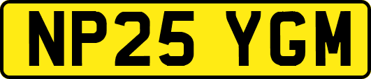 NP25YGM