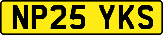 NP25YKS