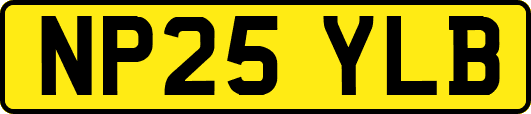 NP25YLB