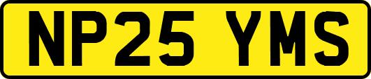 NP25YMS