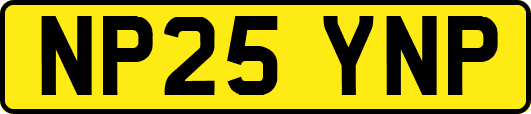NP25YNP