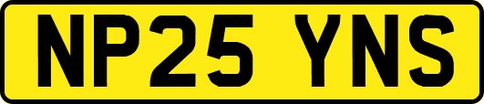 NP25YNS