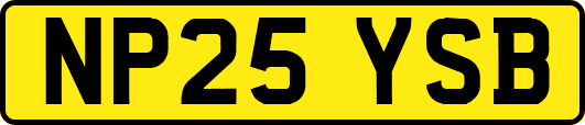 NP25YSB