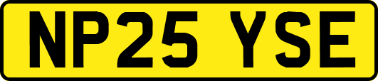 NP25YSE