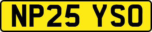NP25YSO
