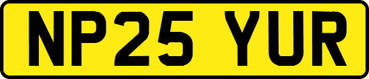 NP25YUR