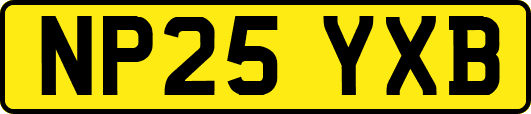 NP25YXB
