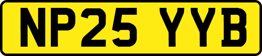 NP25YYB
