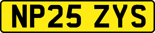 NP25ZYS