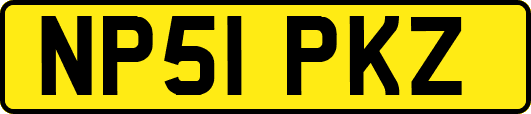 NP51PKZ