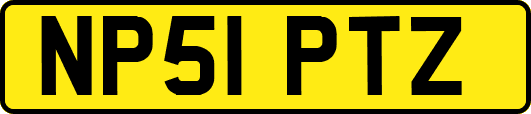 NP51PTZ